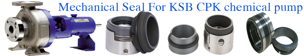 Hoàng Kim – Pump and Mechanical Seal